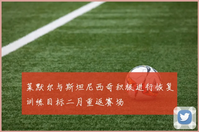 莱默尔与斯坦尼西奇积极进行恢复训练目标二月重返赛场